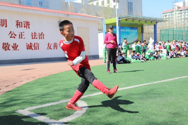特雷杨复出老鹰惜负黄蜂 骑士轻取灰熊止3连败